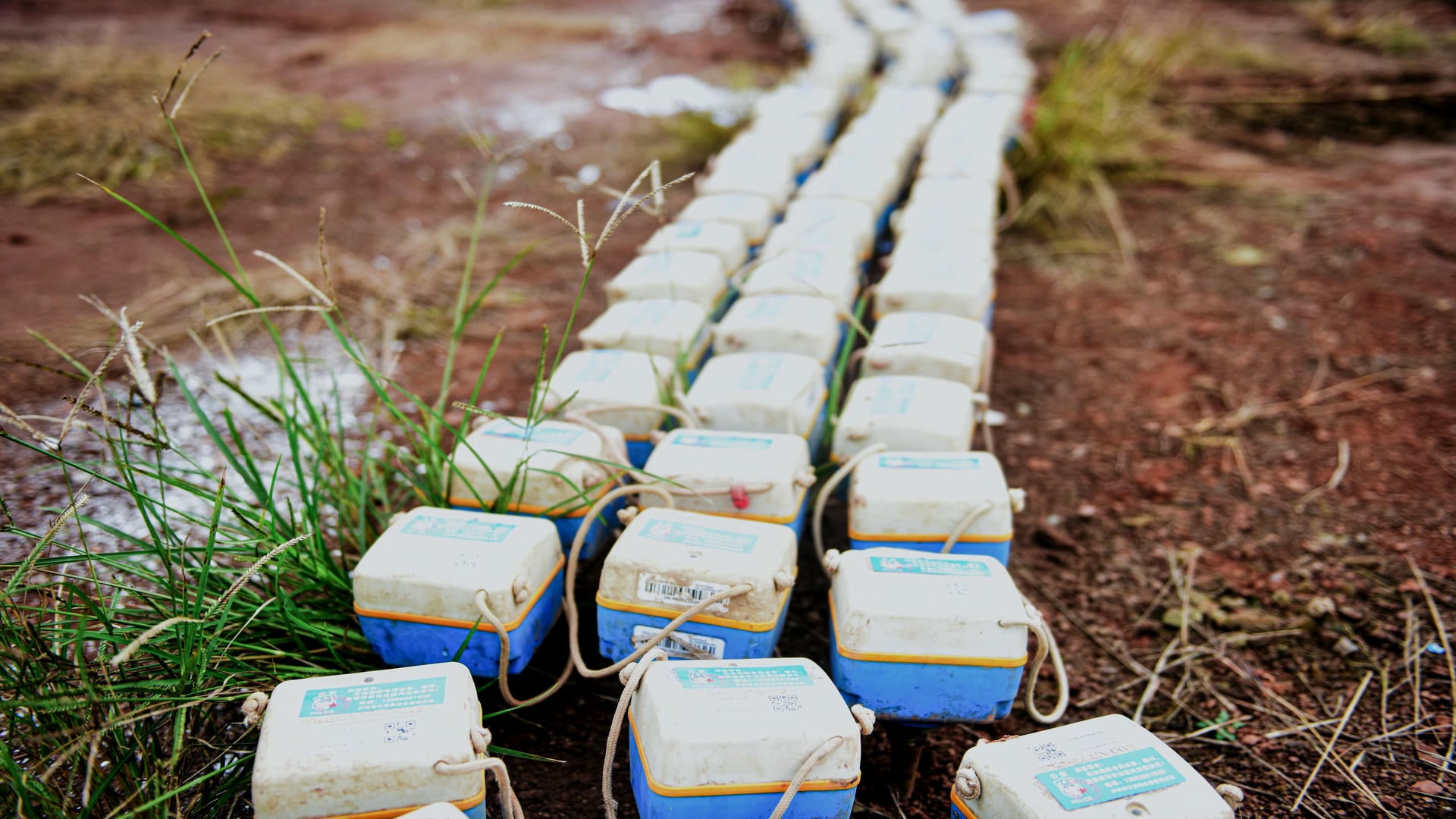 Rows of SmartSolo nodes, seismometers used for seismic survey and geophysical exploration, laid out on the ground.